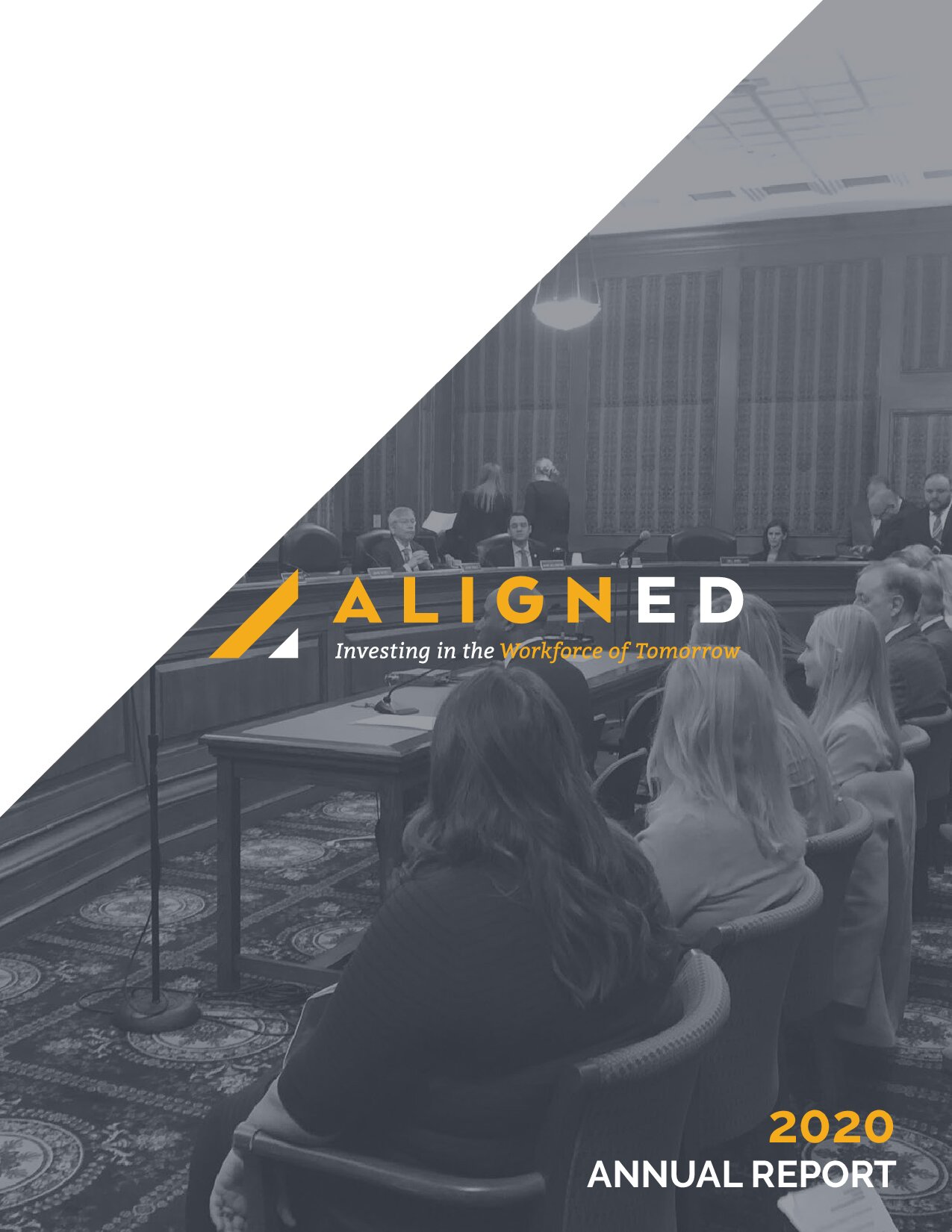 2020-Aligned-Annual-Report.pdf preview